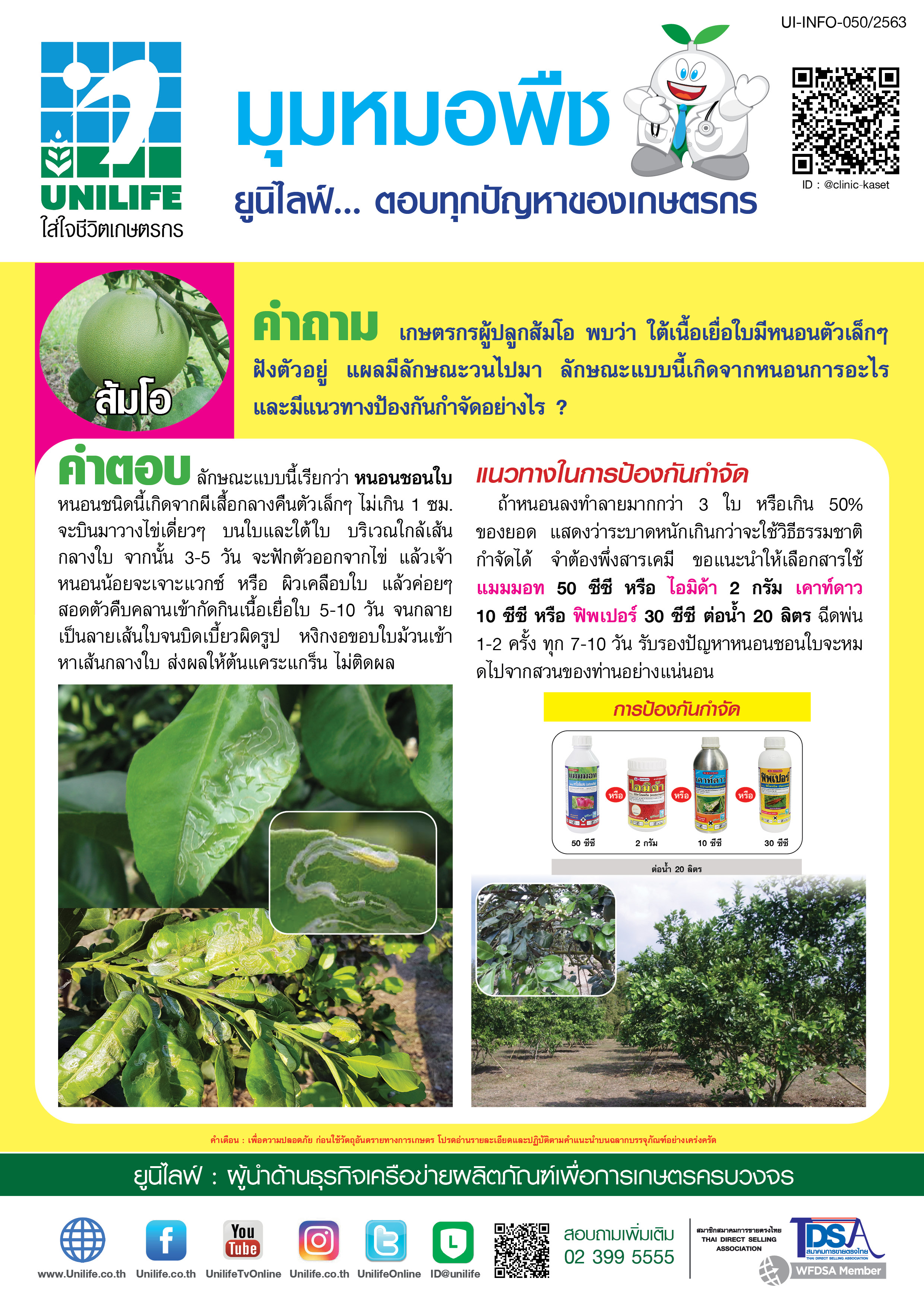 038-หนอนชอนใบส้มโอ