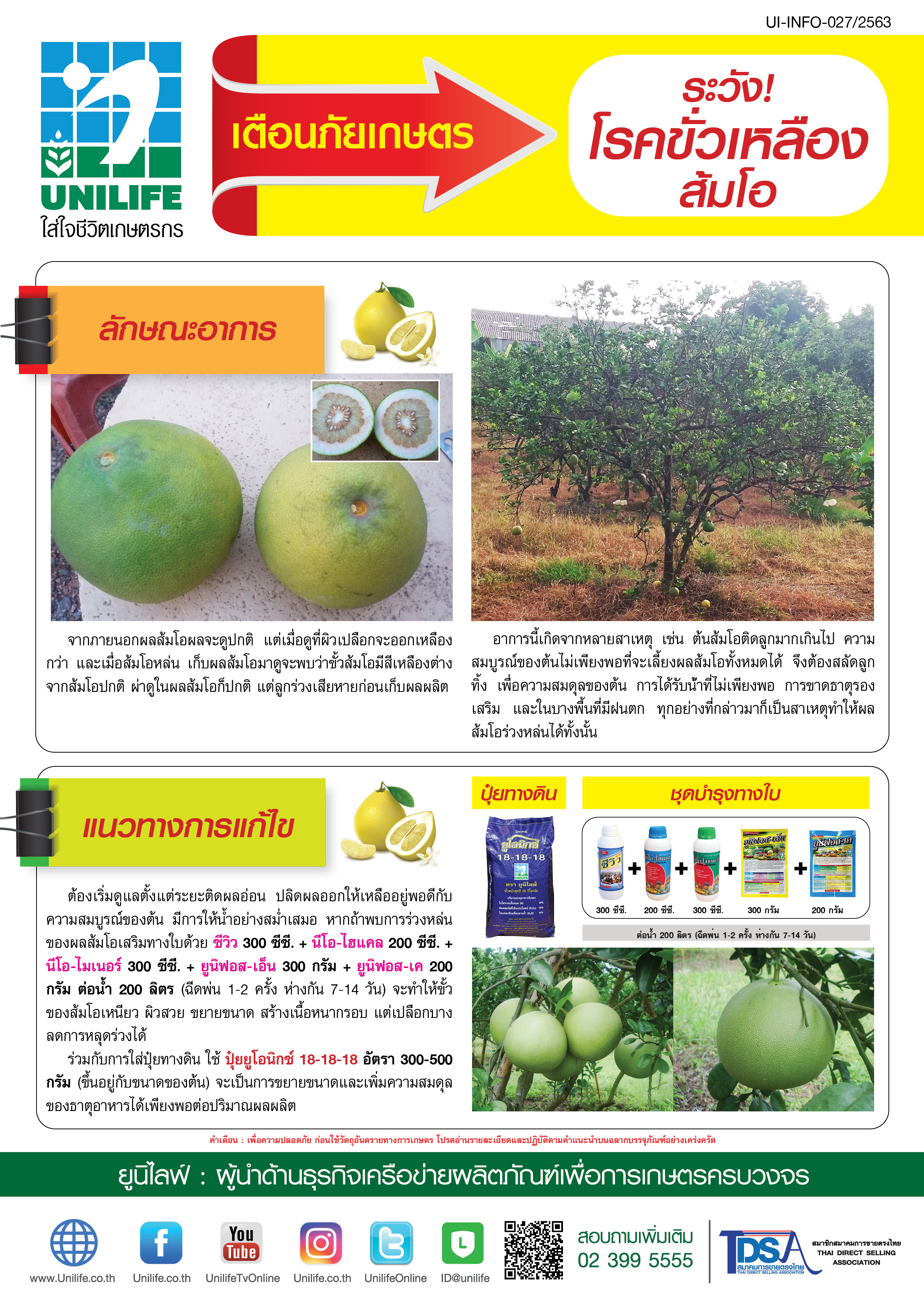 040-ส้มโอขั้วเหลือง