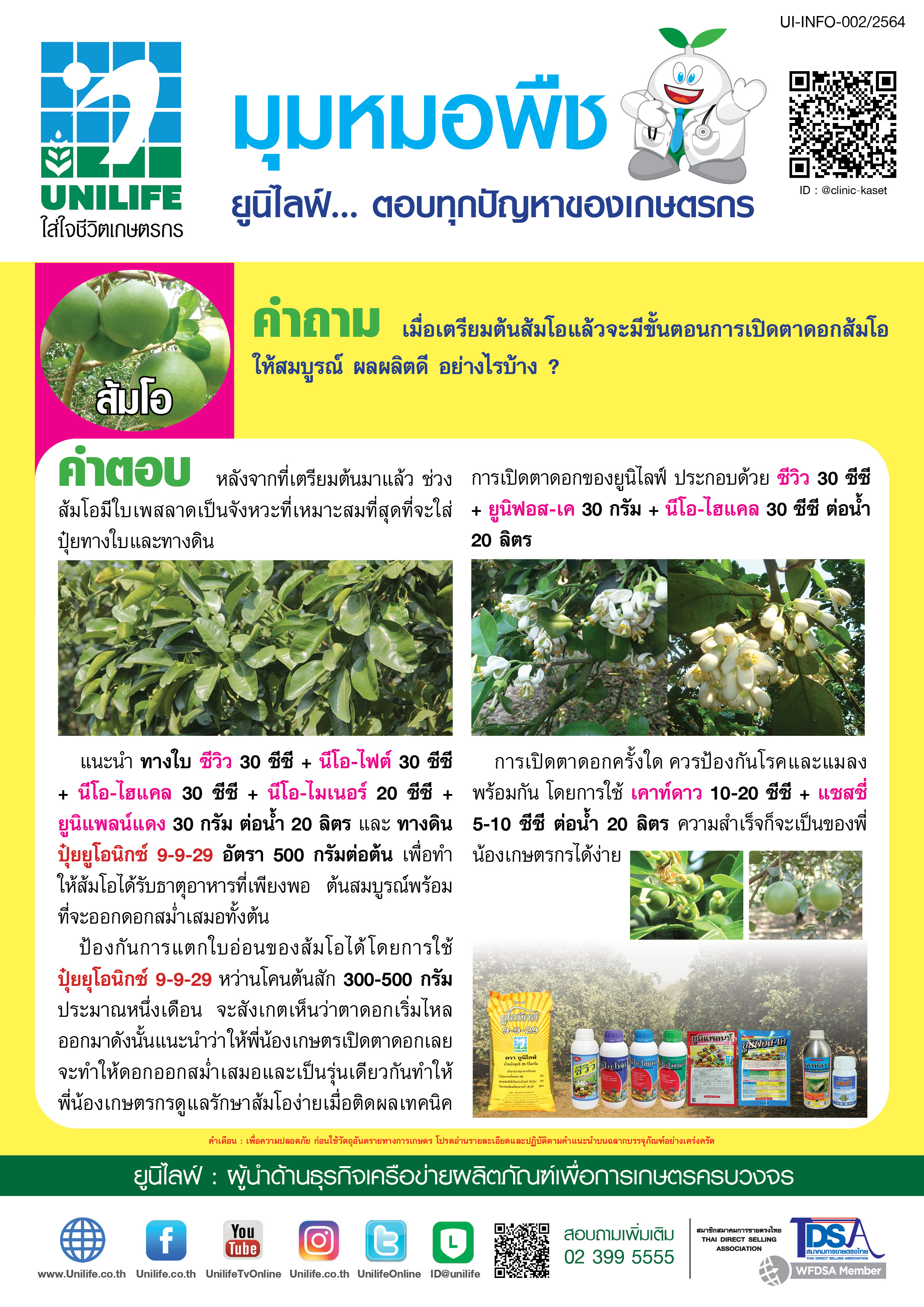 041-เปิดตาดอกส้มโอ