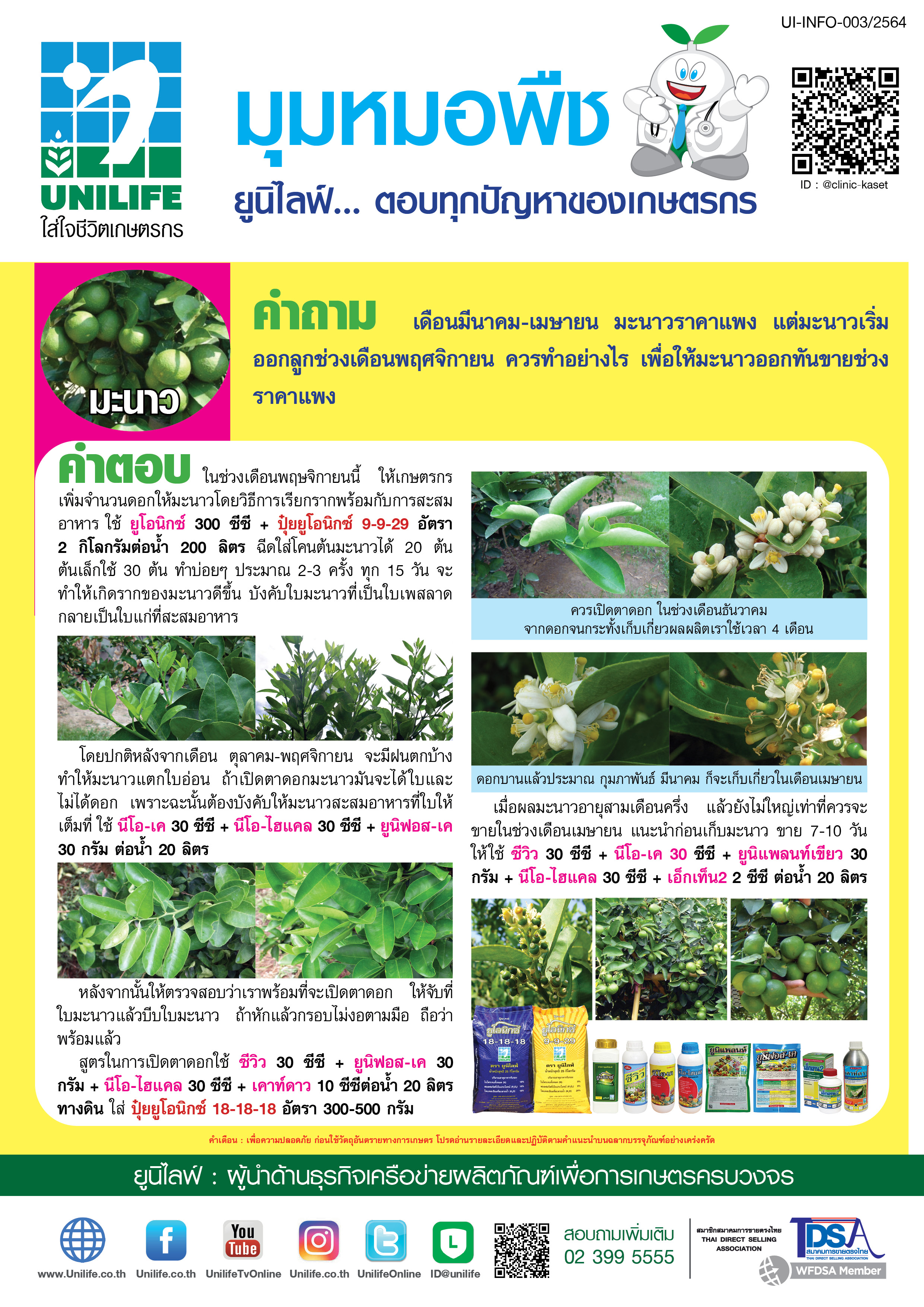 042-ทำมะนาวให้ออกช่วงราคาแพง