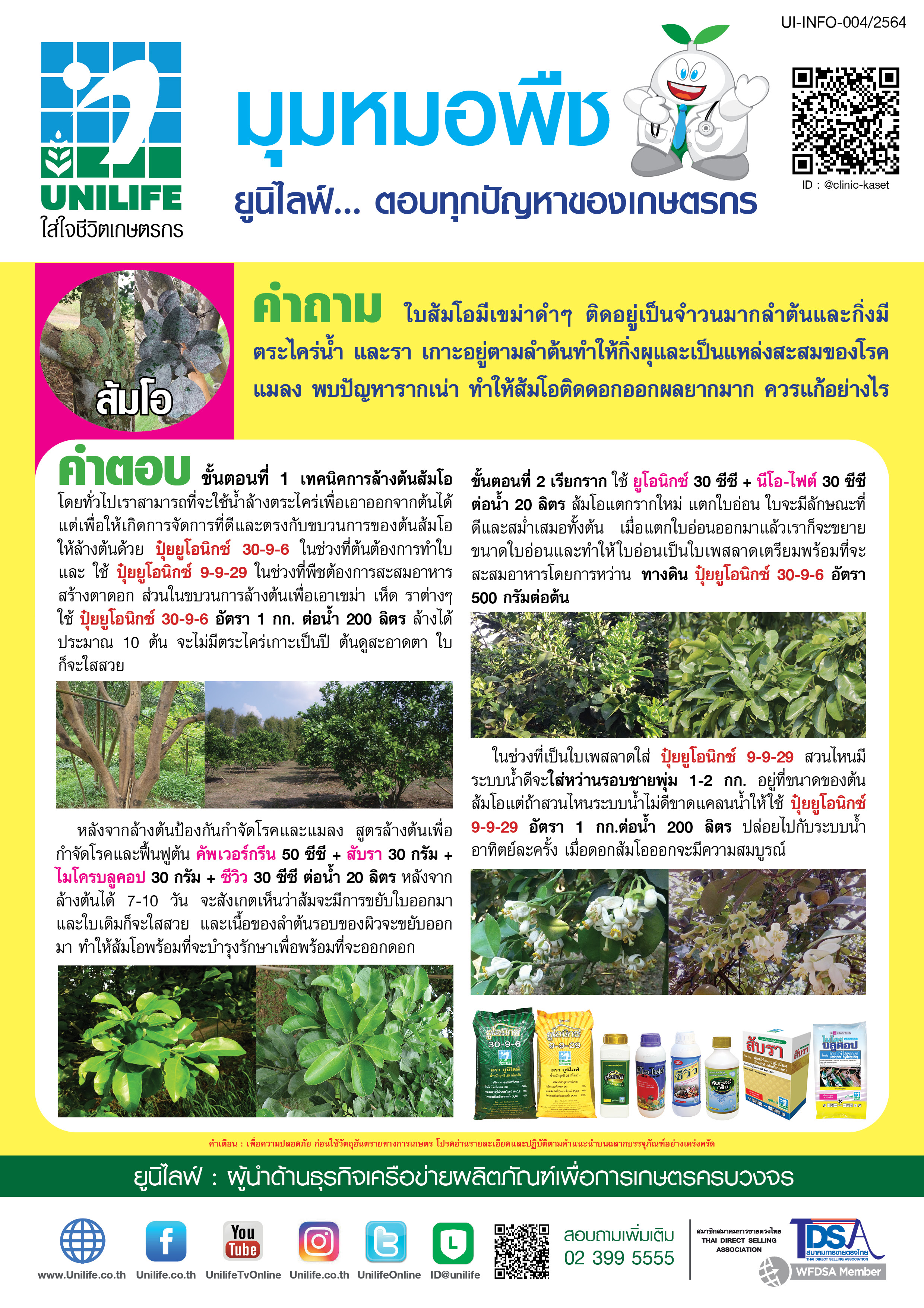 043-การล้างต้นส้มโอ